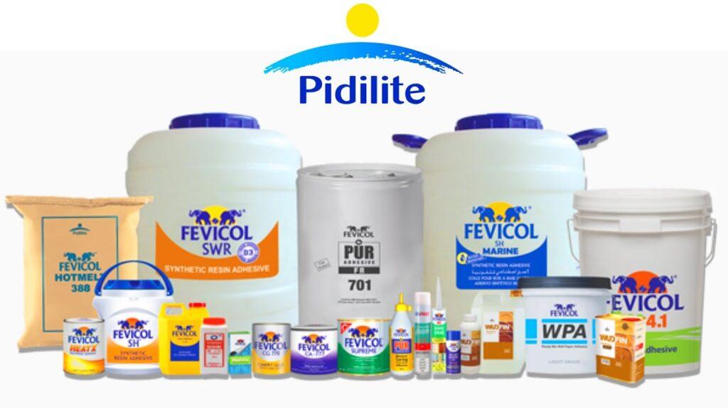 Pidilite Title 1